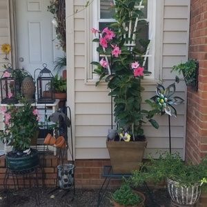 Meet your Posher, Joann